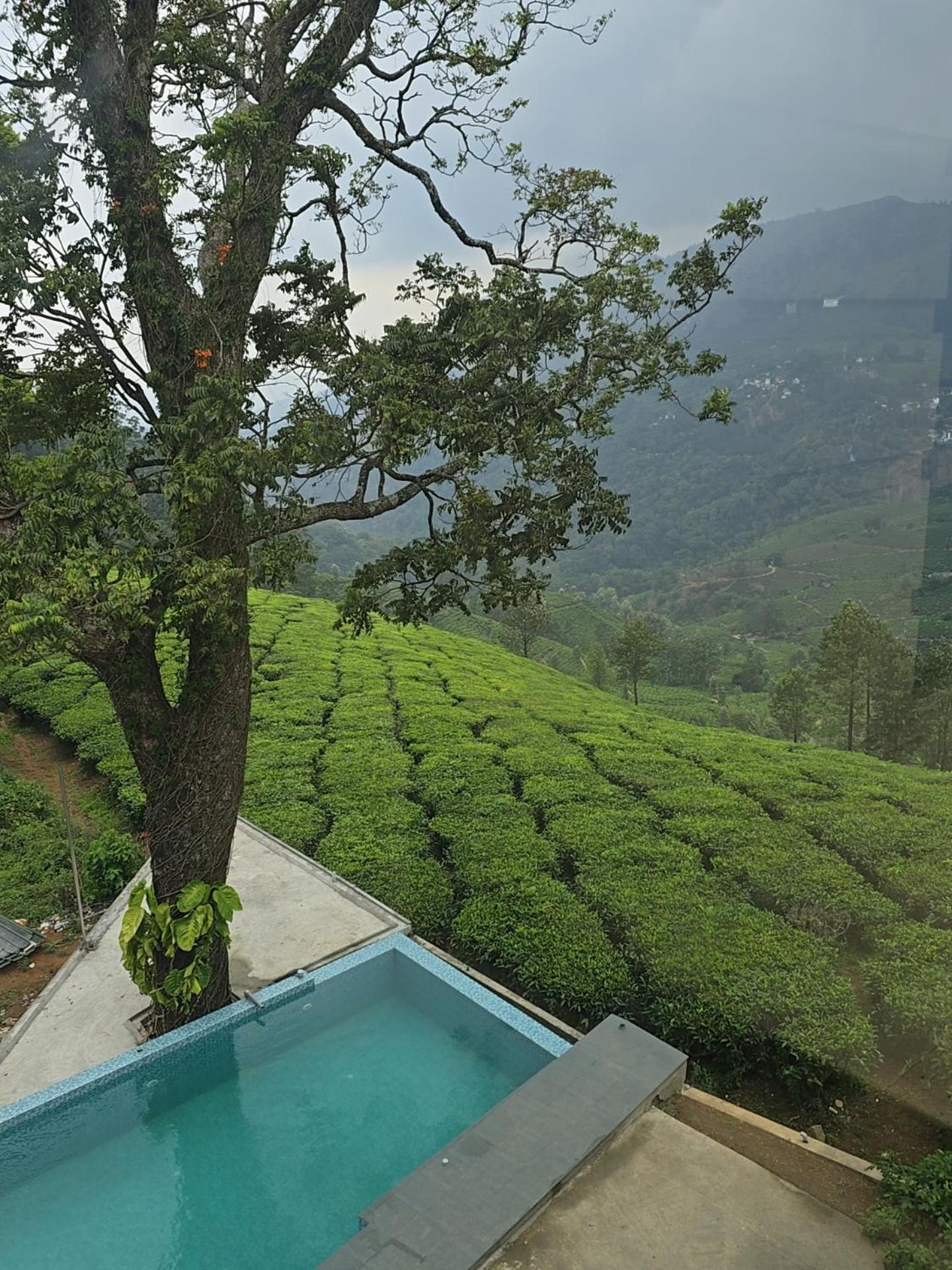 Beauty Spot Munnar Hotell Eksteriør bilde
