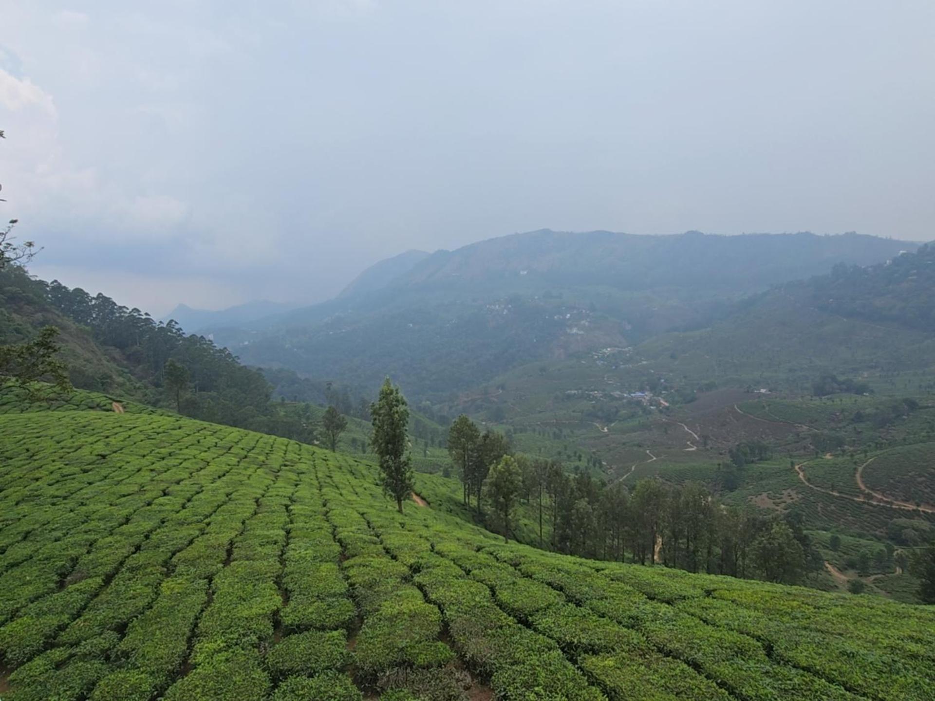 Beauty Spot Munnar Hotell Eksteriør bilde